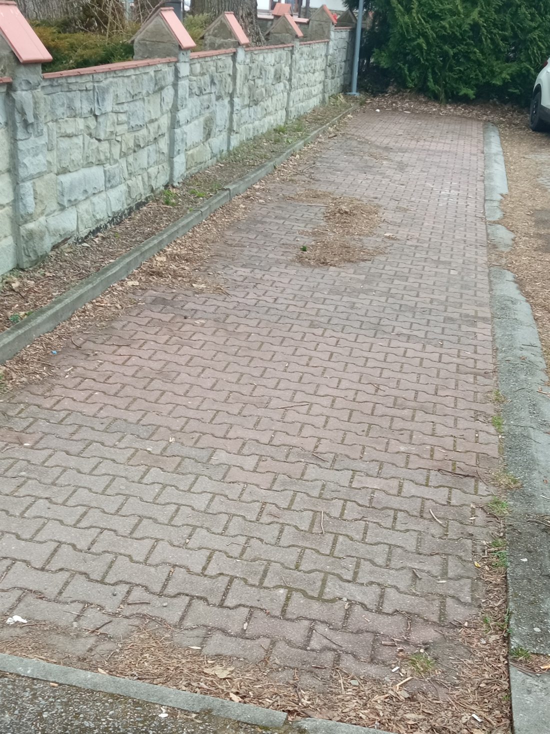 Kostka brukowa z jasnym nalotem na powierzchni przed czyszczeniem