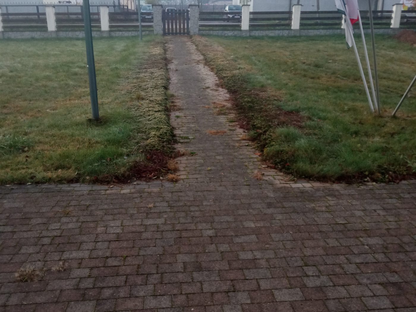 Dojście z kostki brukowej z wypłukanymi spoinami i zieleni w szczelinach