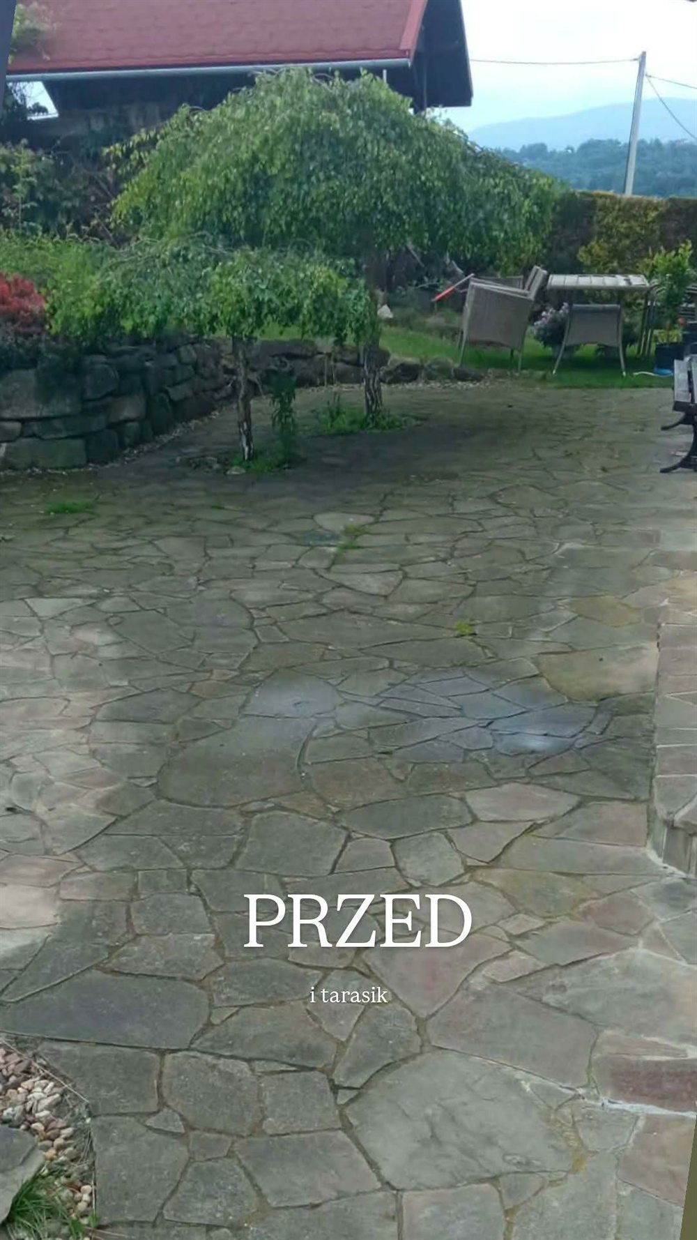 Taras z kamienia naturalnego zarośnięty mchem przed czyszczeniem